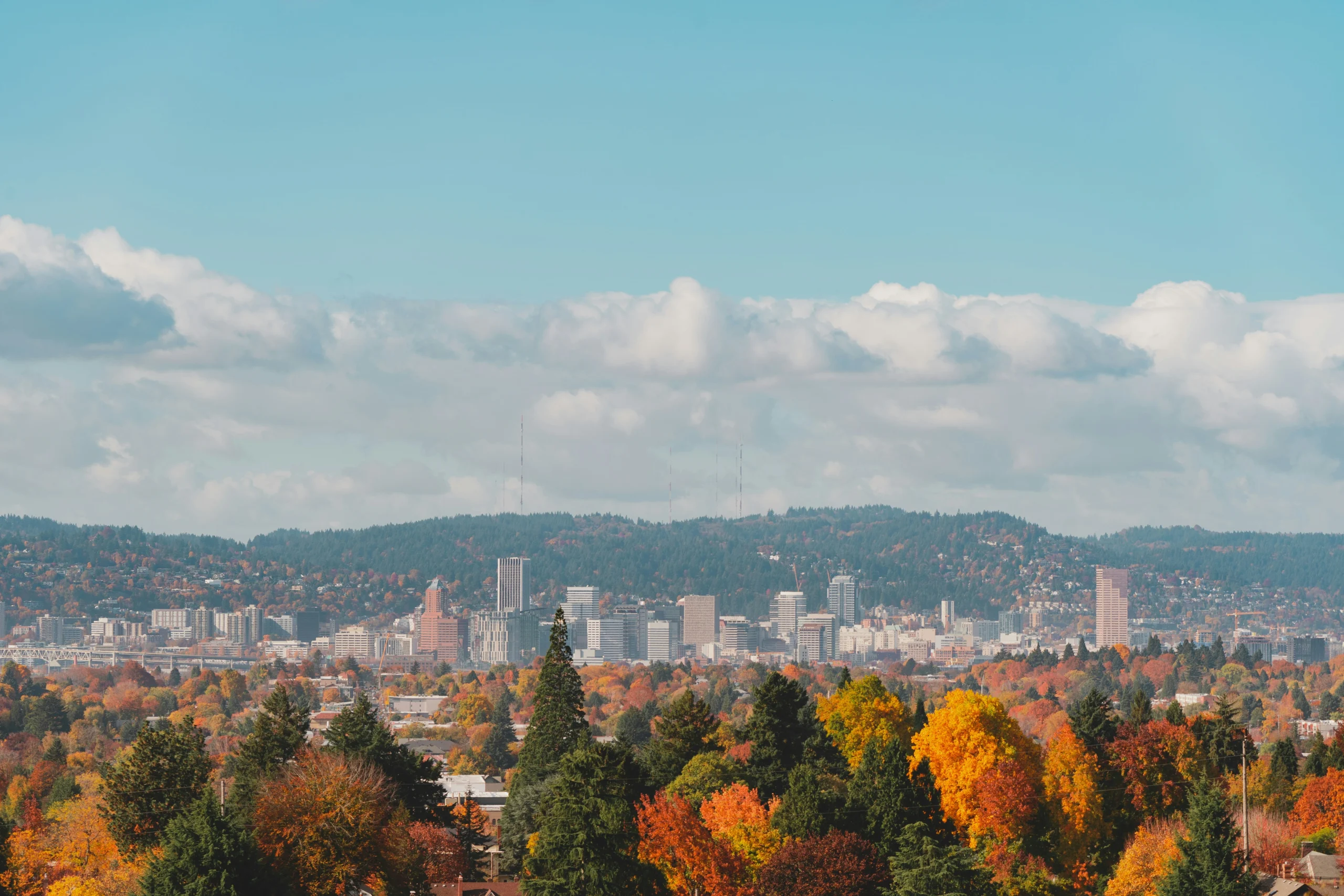 city skyline with colorful autumn trees in the foreground.