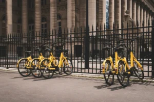 Share mobility bicycles